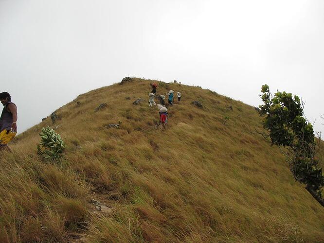 Mount Tundalara (9)