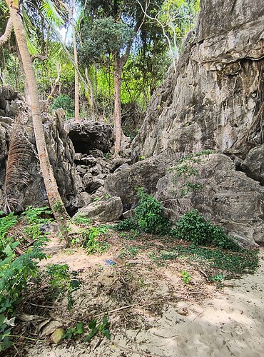 IMG_20250408_103325638_HDR