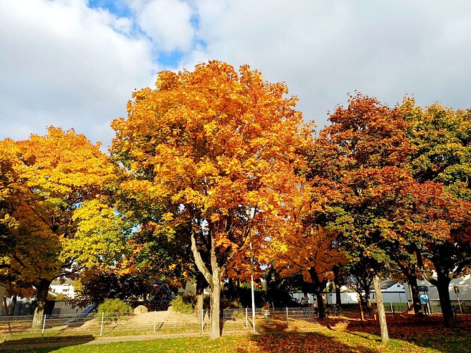 Herbst