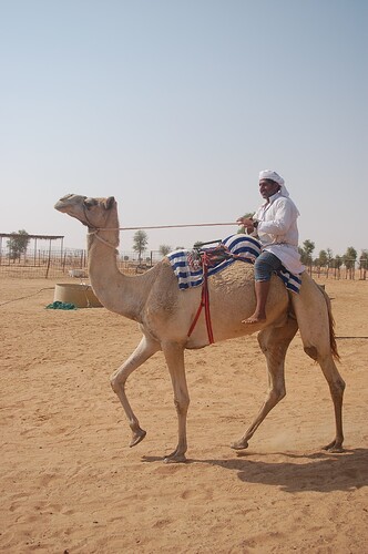 Dubai_2009 1182