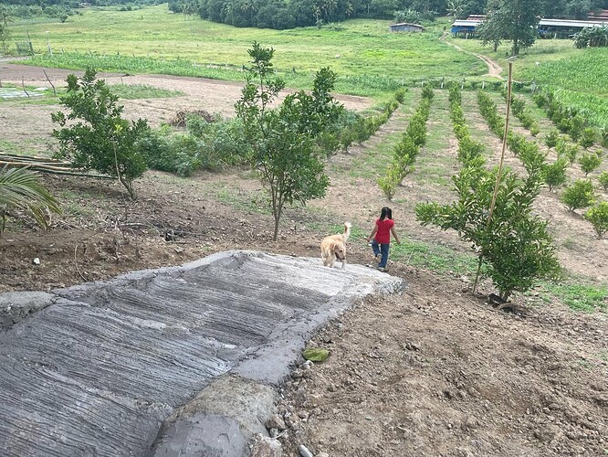 aa4930c0-5eae-4c96-b963-5d65e29181c8