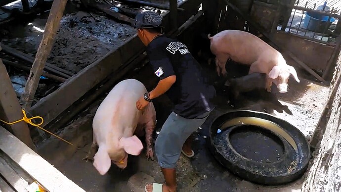 04-philippine-magazine-video-maerkte-kurioses-vom-carmen-markt-cdo-46
