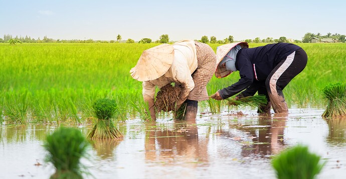 19-philippinen-forum-provinzen-camarines-sur-03