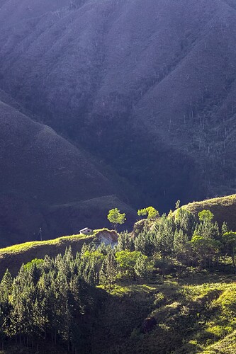 12_04_18Bukidnon00032-Bearbeitet