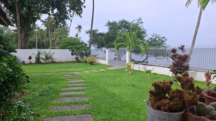 20-philippinen-forum-antwort-grassamen-01