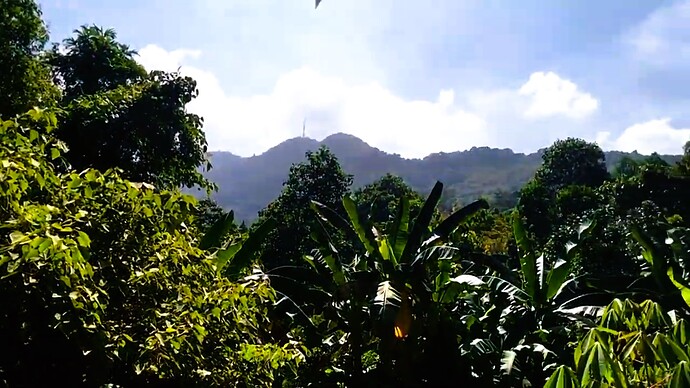 17-philippinen-forum-bei-uns-zuhause-in-cdo-34