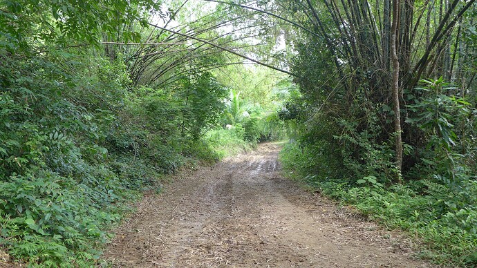 Tando Beachlot 930 sqm 01