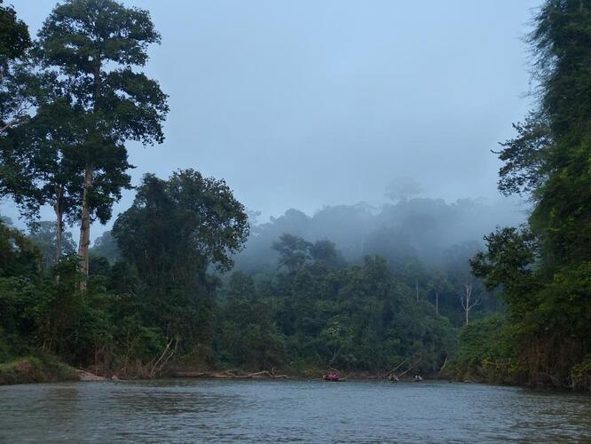 ulu muda touren (13)