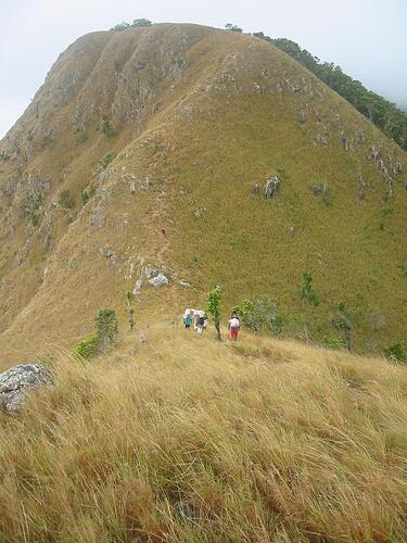 Mount Tundalara (21)