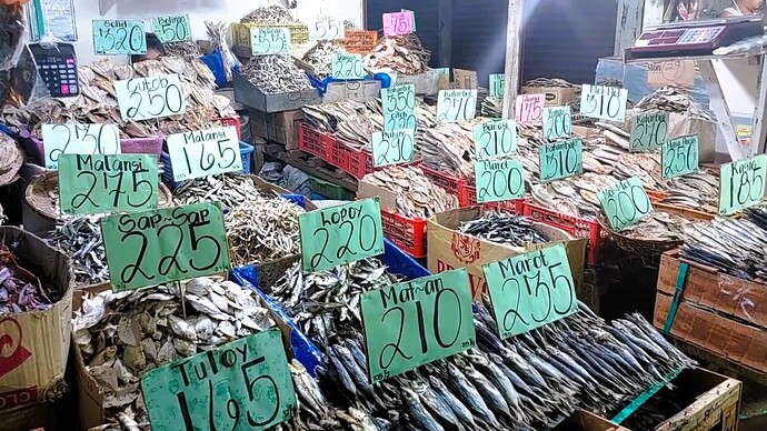 04-philippine-magazine-video-maerkte-kurioses-vom-carmen-markt-cdo-61