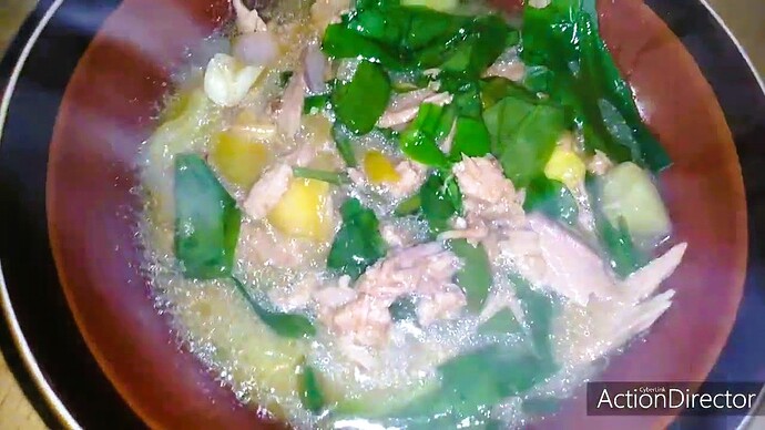 06-philippinen-forum-gemuesesorten-talinum-jewels-of-opar-01