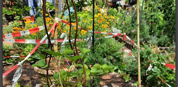 Screenshot_20251005_213815_Edge