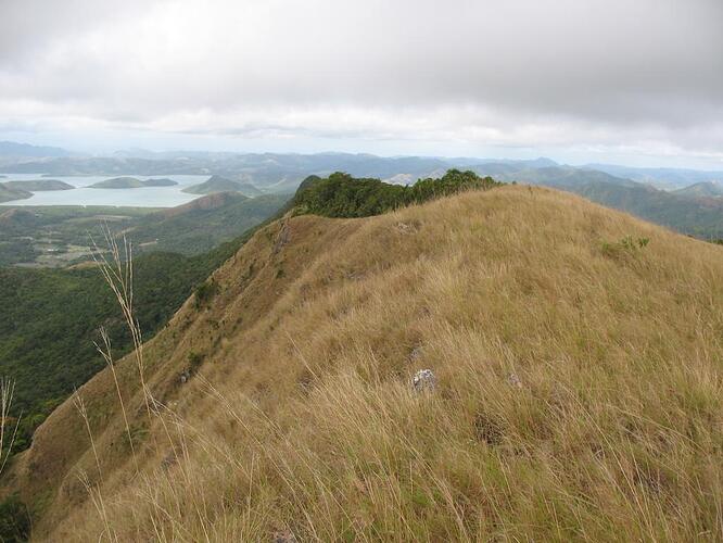 Mount Tundalara (14)