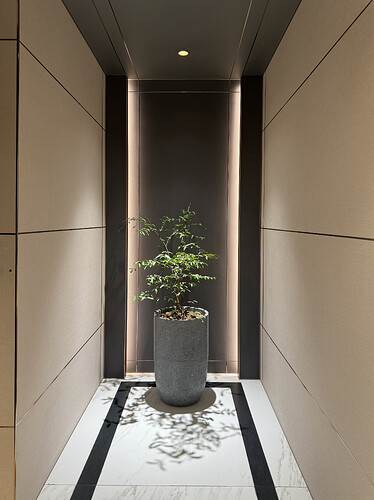 38A596BE-6519-4171-8087-624B0800287F_1_201_a