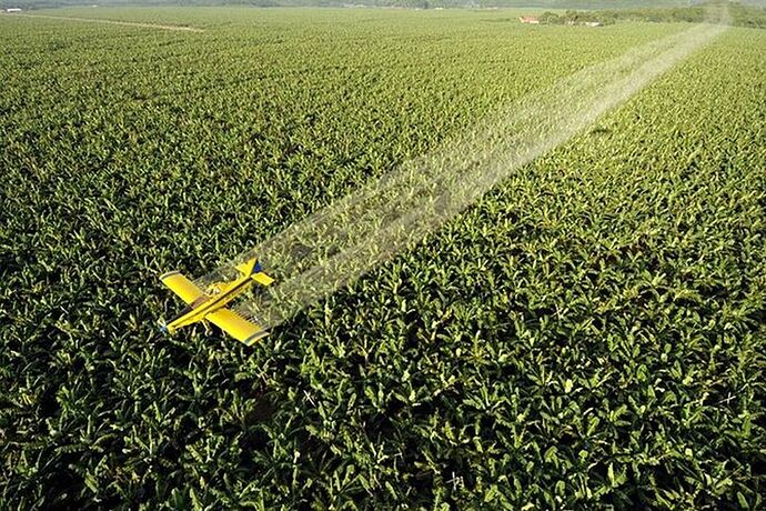 15-philippinen-forum-provinzen-davao-del-sur-02