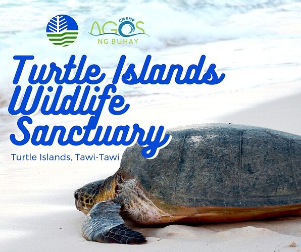 31-philippinen-forum-nationalparks-turtle-islands-00