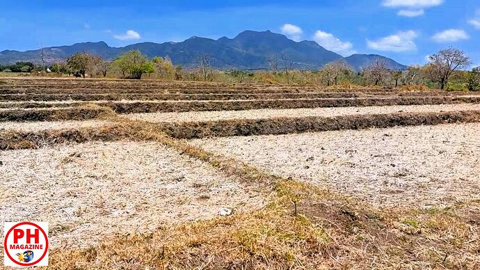 30-07-2025-philippinen-forum-wetter-aktuell-03