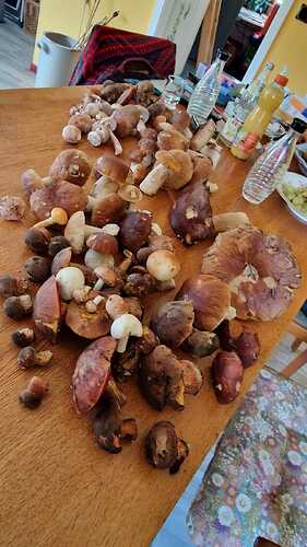 IMG-20241006-WA0001
