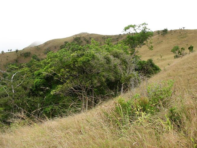 Mount Tundalara (4)