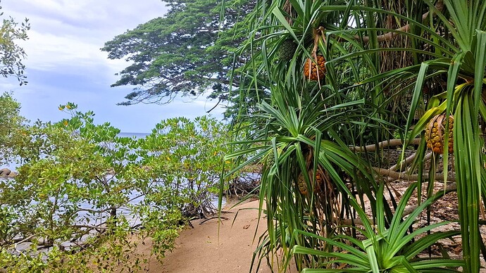 18-philippine-magazine-video-preview-tongo-sail-inn-06