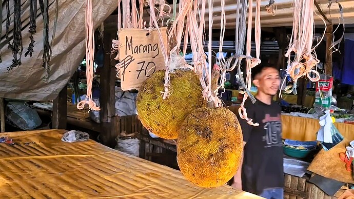25-philippinwn-doeum-maerkte-tabo-sa-pao-dumaguete-04