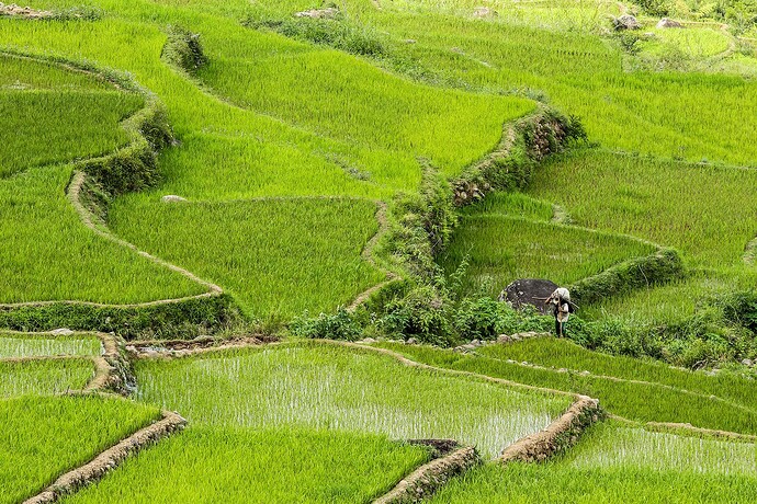 12_04_04Sgada00236-Bearbeitet