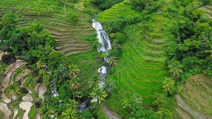 Reisterrassen Mt Igmatongtong 01