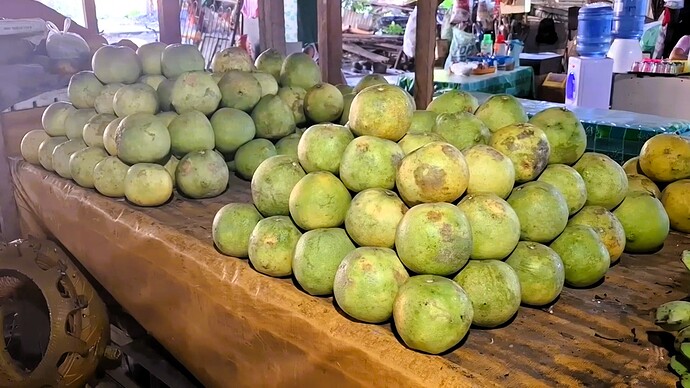 25-philippinwn-doeum-maerkte-tabo-sa-pao-dumaguete-10