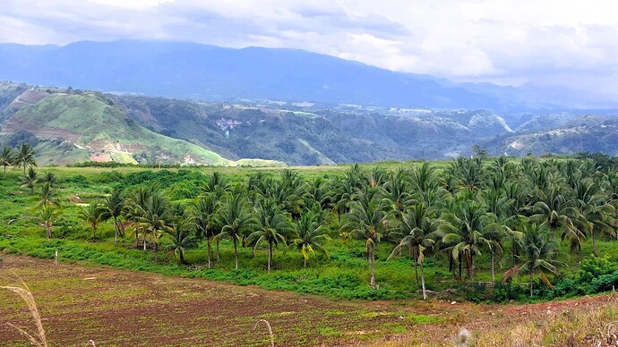 09-philippinen-forum-unterwegs-mindanao-manolo-fortich-07