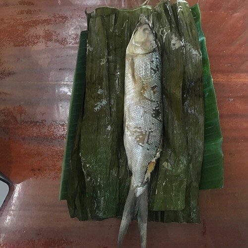 Inihaw na bangus01