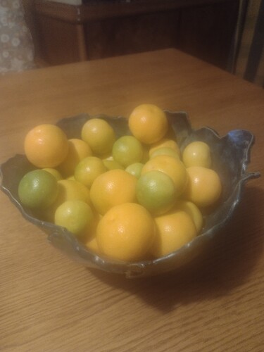 IMG_20250225_181333581