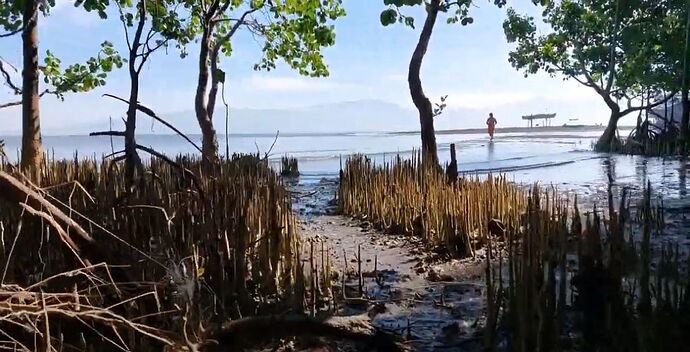 29-philippinen-forum-wissenswertes-bantay-dagat-02