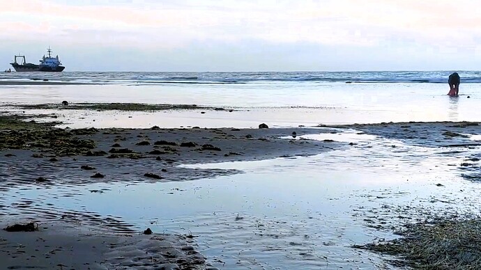10-philippinen-forum-unterwegs-in-negros-straende-in-dumaguete-00