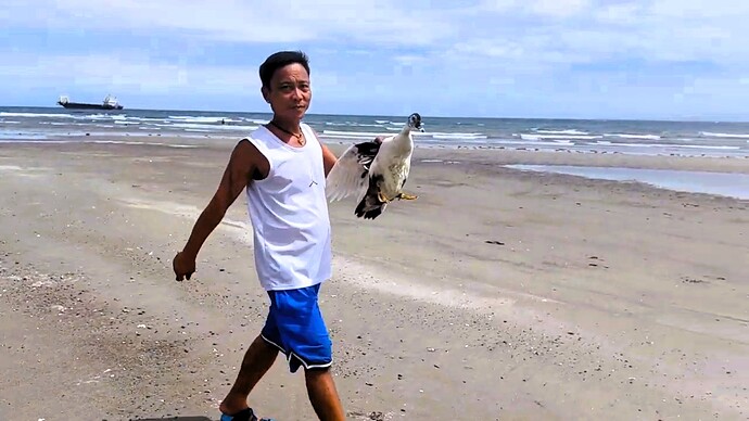 10-philippinen-forum-unterwegs-in-negros-straende-in-dumaguete-34