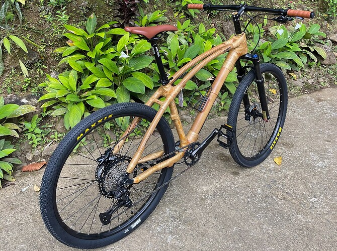 Bambike01