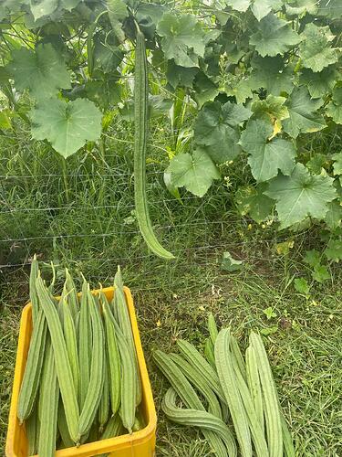 531f1b46-d830-4f7b-9e85-66c383085577