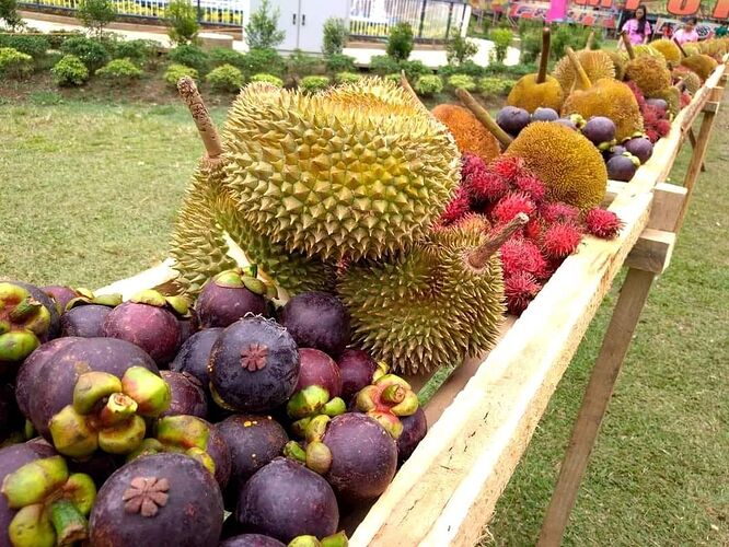 09-philippinen-forum-staedte-kidapawan-city-03