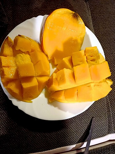 Mango_unterwegs_vom_Aldi