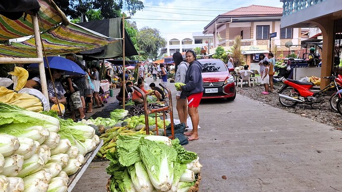 29-philippinen-forum-bei-uns-in-dauin-01