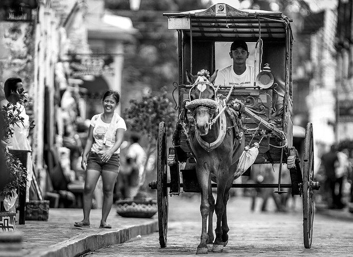 12_03_30Vigan00196-Bearbeitet