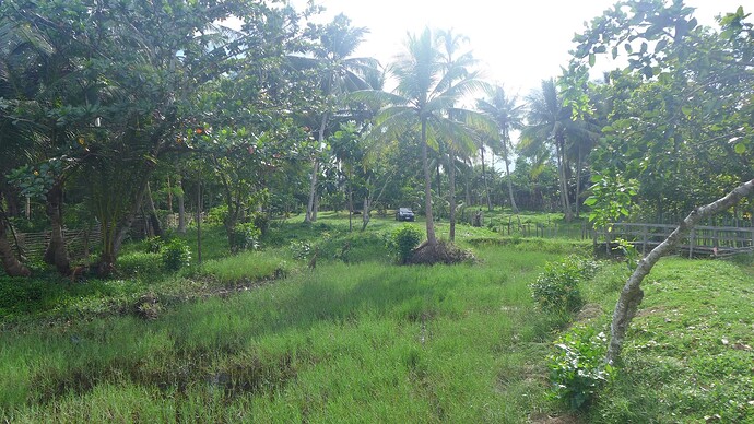 Bunena Vista Strandgrundstück03