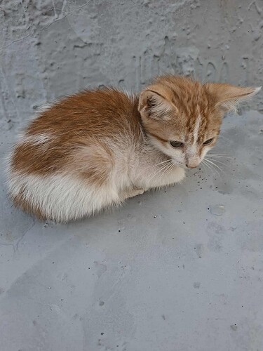 cdf22e24-1e23-43aa-81ee-76676e91473a