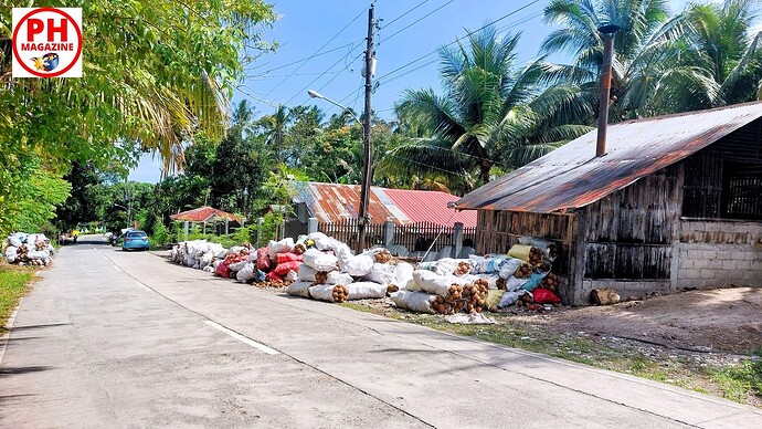 09-philippinen-forum-lebenshunterhalt-kopra-01