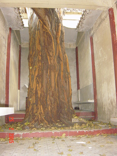 Philippines2005 (33)