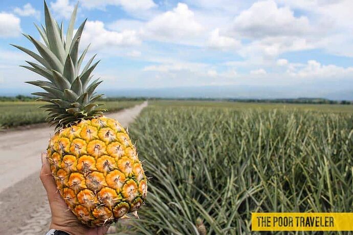 03-philippinen-forum-provinzen-south-cotabato-08