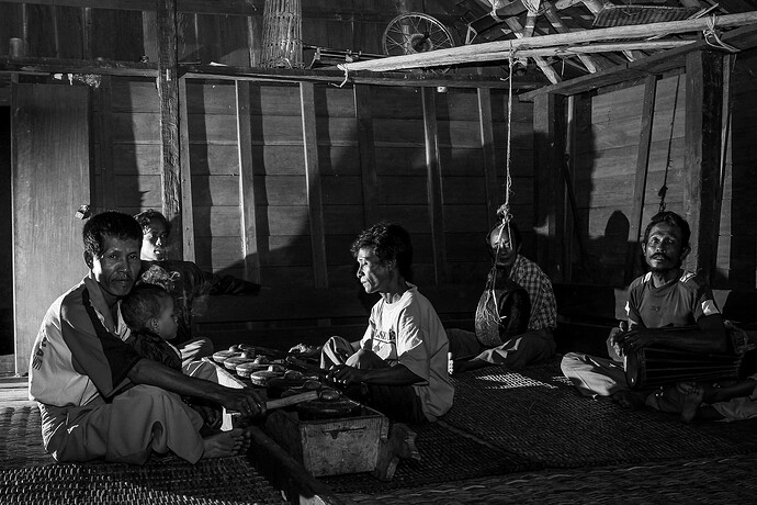 11_06_15Borneo0000589-Bearbeitet