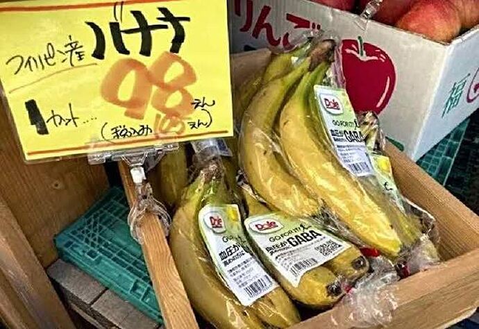01-philippinen-forum-wirtschaft-cavendish-bananen-export-02