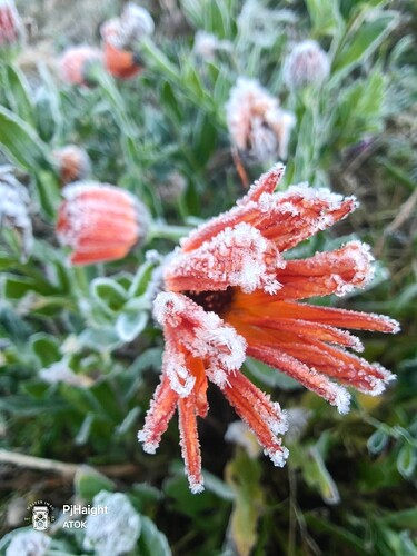 619914409_1426564599515518_6413164084642329780_n