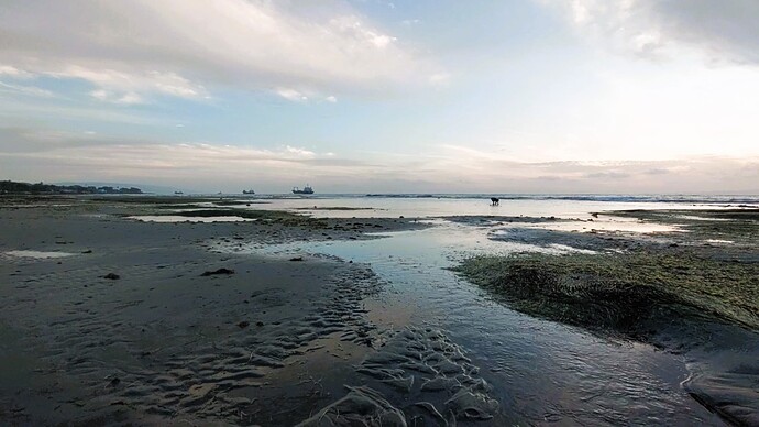 15-philippinen-forum-reiseberichte-mangnao-strand-dumaguete-00