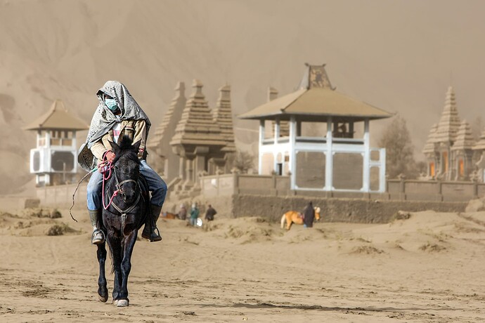 11_06_16Borneo0000490-Bearbeitet